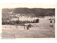 1939 OLD PHOTO OF YUNDOLA PHOTO REPORTAGE PRIVATE COLLECTION E286