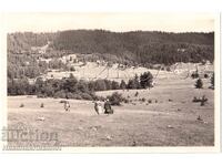 1939 СТАРА СНИМКА ЮНДОЛА ФОТОПЪТЕПИС ЧАСТНА КОЛЕКЦИЯ Е286