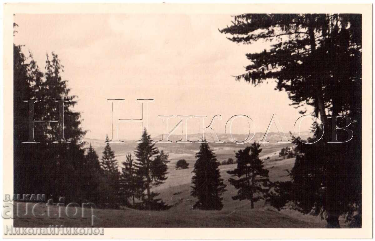 1939 FOTOGRAFIE VECHE YUNDOLA FOTOREPORTAJ COLECȚIE PRIVATĂ E289