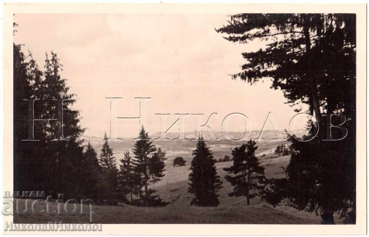 1939 FOTOGRAFIE VECHE YUNDOLA FOTOREPORTAJ COLECȚIE PRIVATĂ E289 1939 FOTOGRAFIE VECHE YUNDOLA FOTOREPORTAJ COLECȚIE PRIVATĂ E289