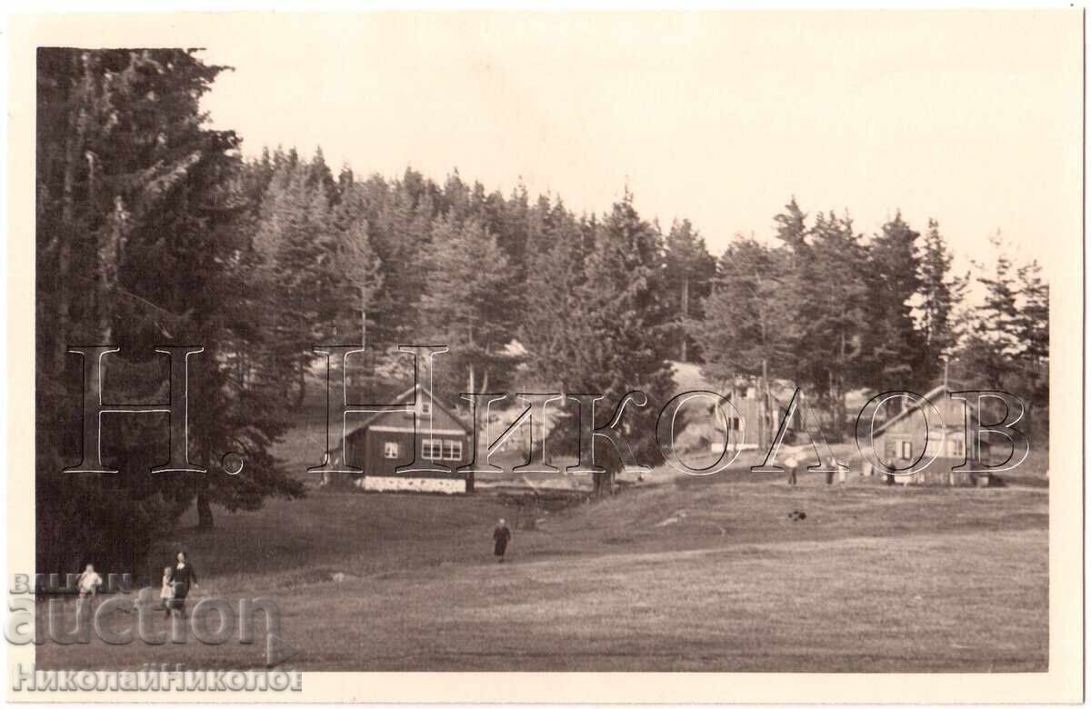 1939 FOTOGRAFIE VECHE IUNDOLA FOTOREPORTAJ COLECȚIE PRIVATĂ E293 1939 FOTOGRAFIE VECHE IUNDOLA FOTOREPORTAJ COLECȚIE PRIVATĂ E293