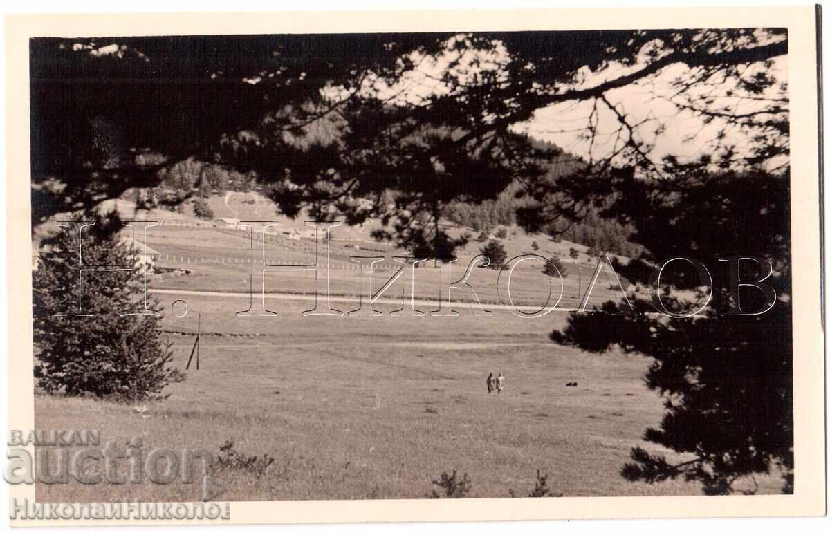 1939 FOTOGRAFIE VECHE IUNDOLA FOTOREPORTAJ COLECȚIE PRIVATĂ E298