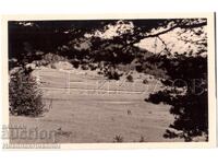 1939 OLD PHOTO OF YUNDOLA PHOTO REPORTAGE PRIVATE COLLECTION E298