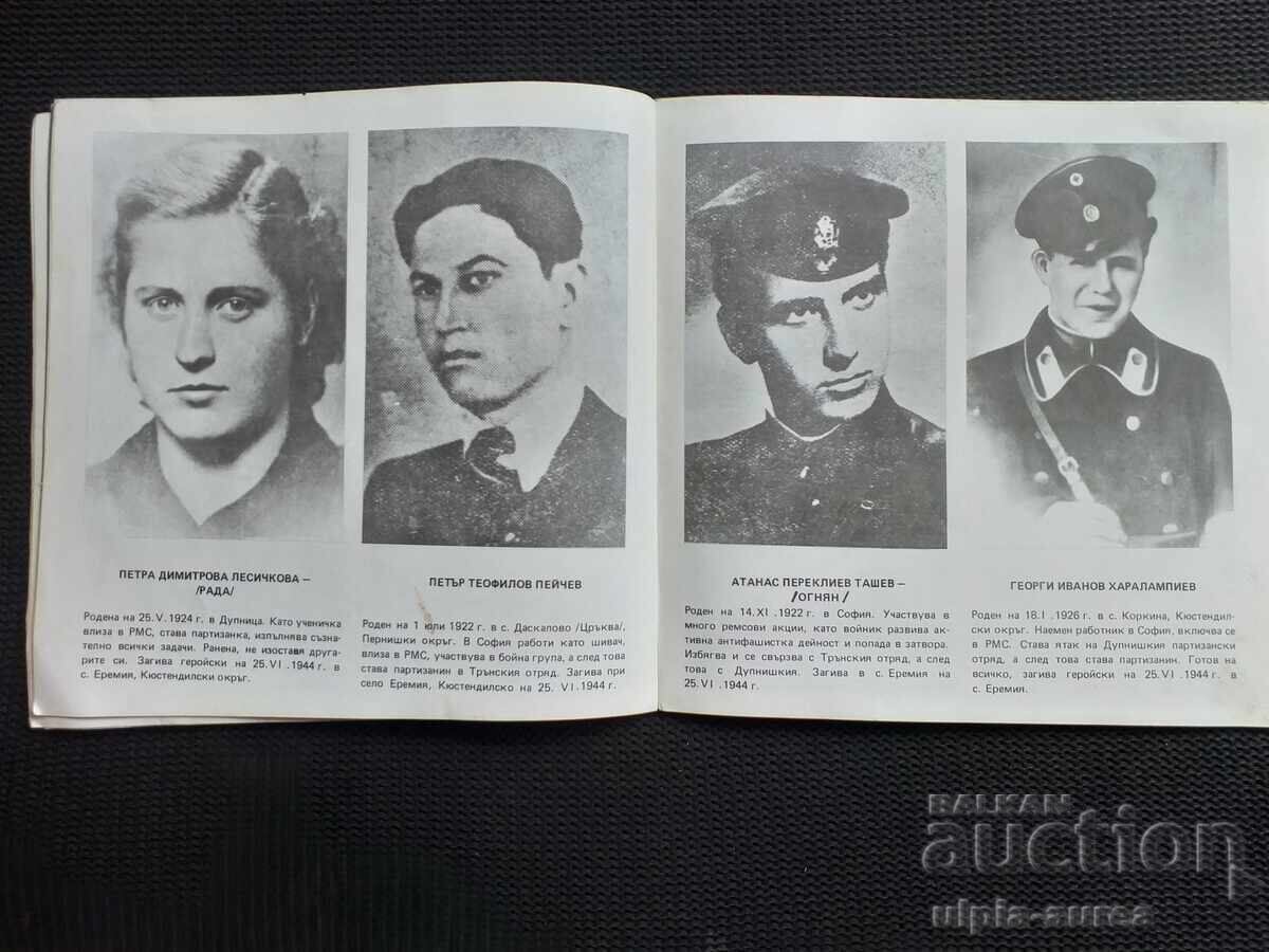 Auction Social brochure Propaganda Auction Social brochure Propaganda