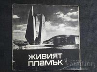 Broșura socială Propaganda