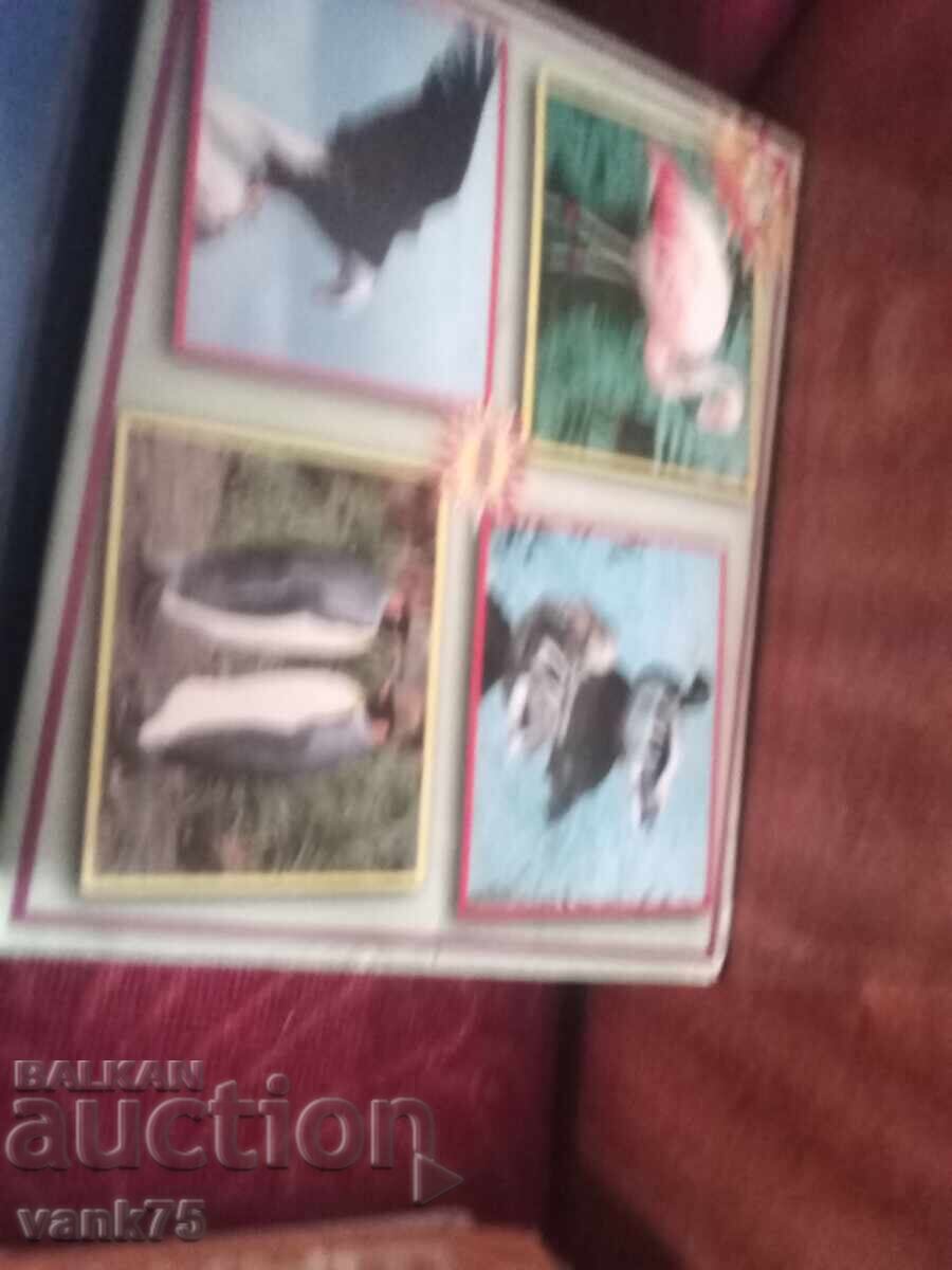 Παιχνίδια. Τιμή ανά τεμάχιο 3 lv με τιμή 3.00 BGN | € 1.53 Παιχνίδια. Τιμή ανά τεμάχιο 3 lv με τιμή 3.00 BGN | € 1.53