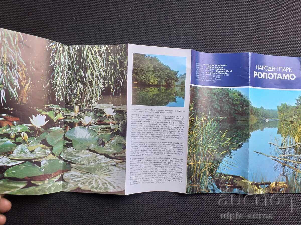 Licitație Broșura socială