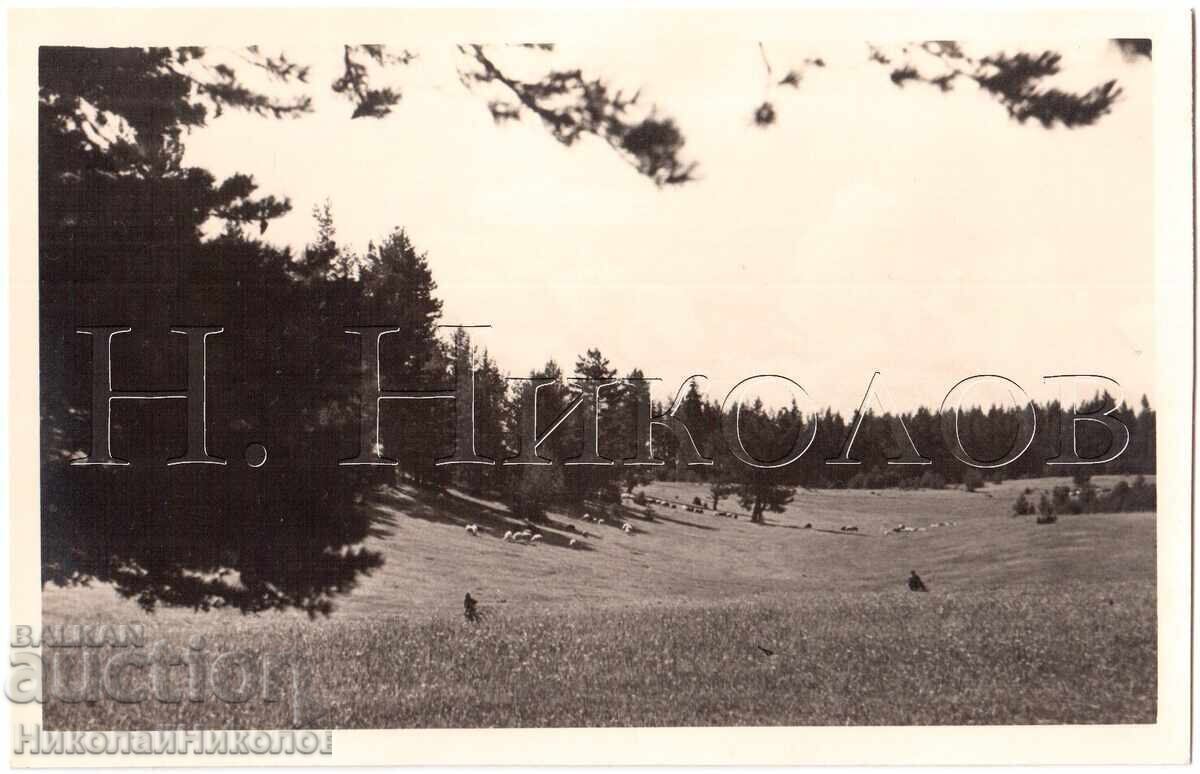 1939 FOTOGRAFIE VECHE YUNDOLA FOTOREPORTAJ COLECȚIE PRIVATĂ E300