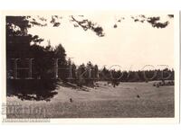 1939 OLD PHOTO YUNDOLA PHOTO TRAVELOGUE PRIVATE COLLECTION E300