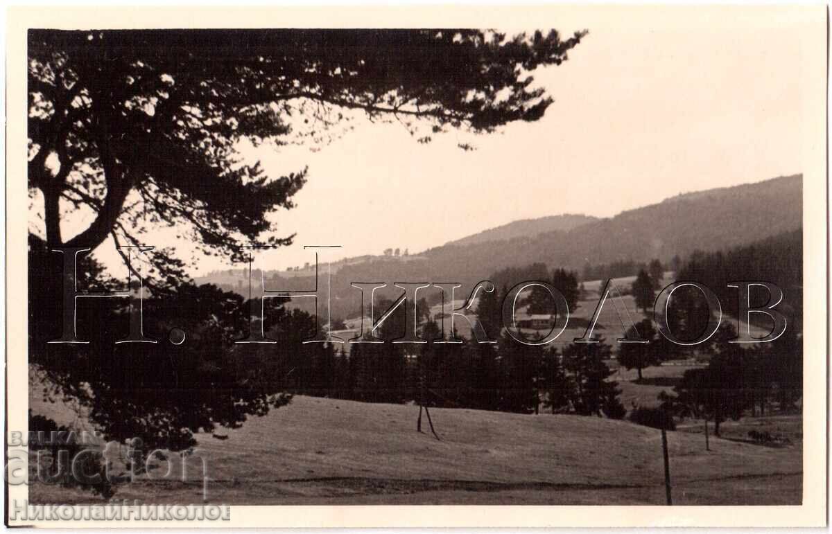 1939 OLD PHOTO YUNDOLA PHOTO REPORT PRIVATE COLLECTION E301