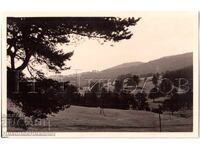 1939 OLD PHOTO YUNDOLA PHOTO REPORT PRIVATE COLLECTION E301