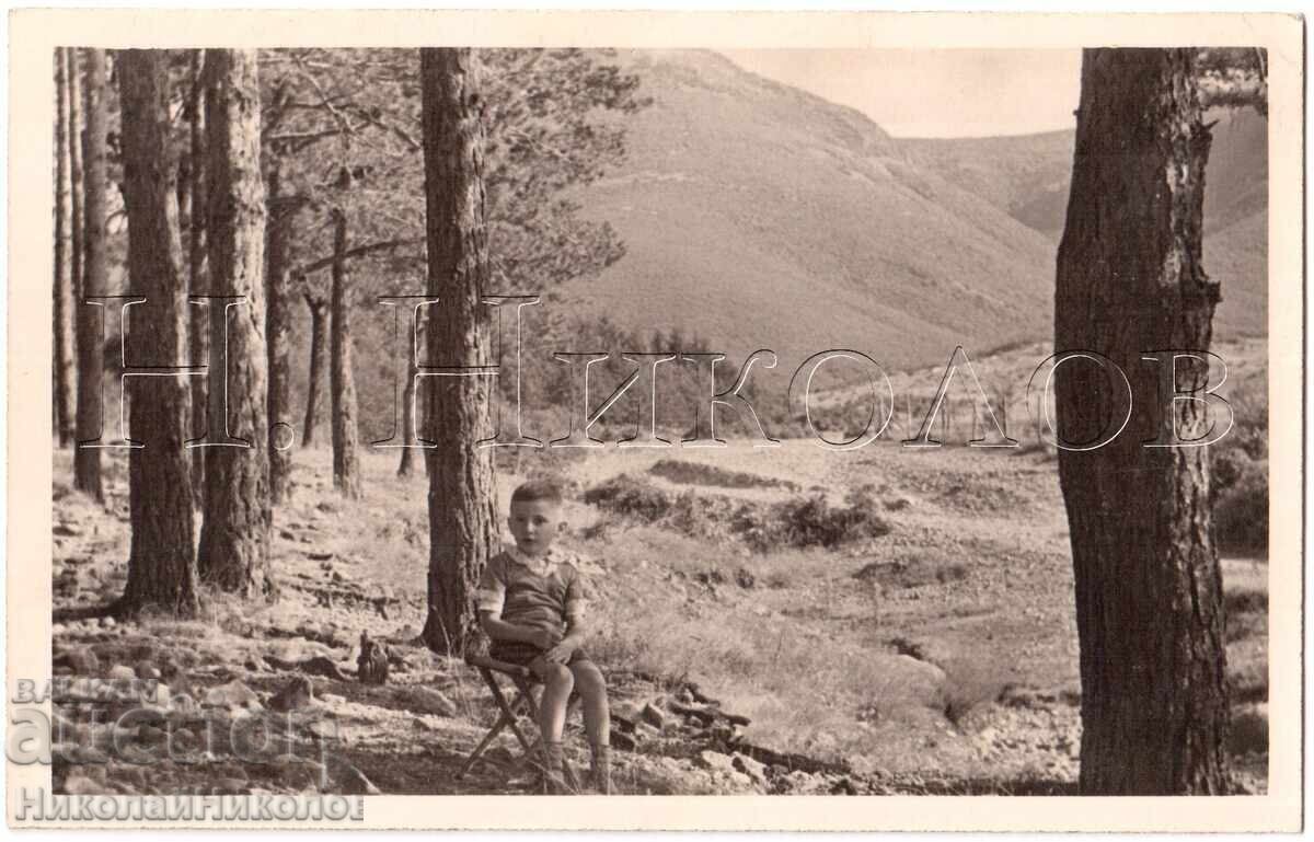 1939 FOTOGRAFIE VECHE CHEPINO BĂIAT LA EXCURSIE COLECȚIE PRIVATĂ E308 1939 FOTOGRAFIE VECHE CHEPINO BĂIAT LA EXCURSIE COLECȚIE PRIVATĂ E308