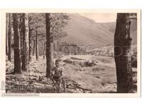 1939 OLD PHOTO CHEPINO BOY ON A TRIP PRIVATE COLLECTION E308