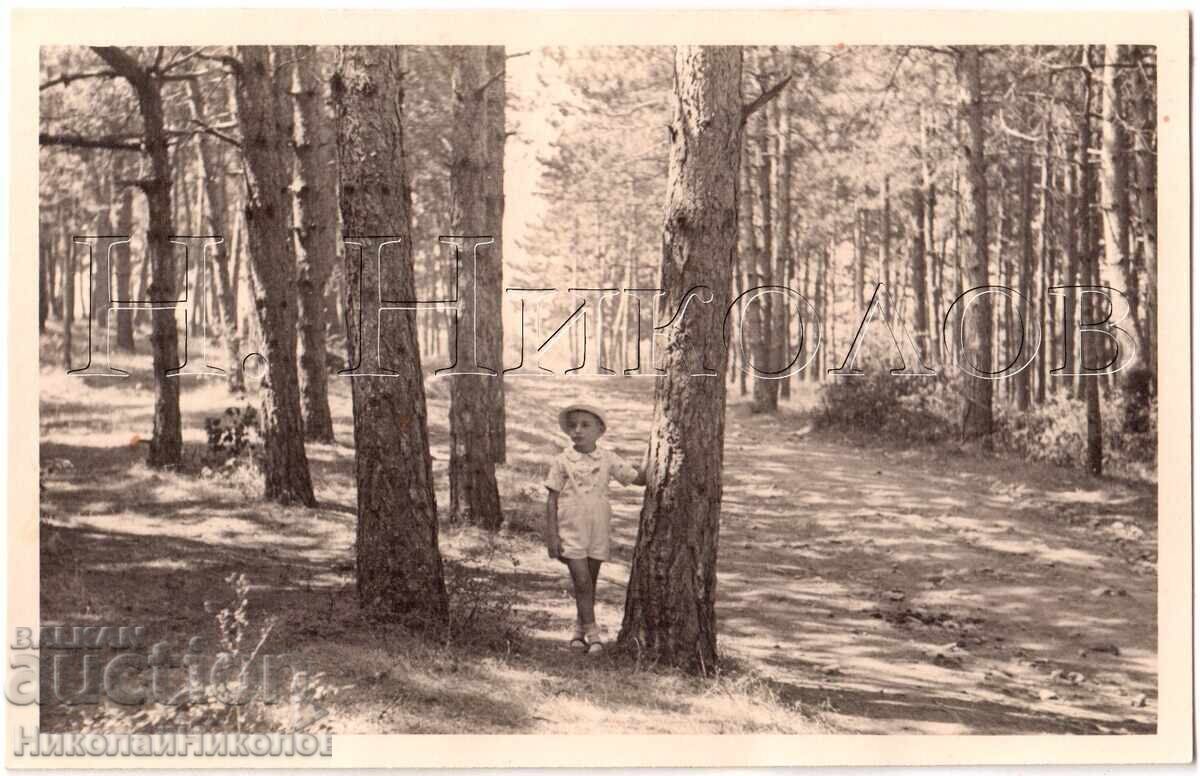 1939 FOTOGRAFIE VECHE CEPINO BĂIAT LA EXCURSIE COLECȚIE PRIVATĂ E309