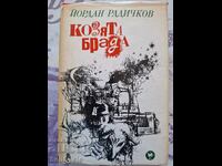 ✅ GOATS' BEARD - YORDAN RADICHKOV ❗