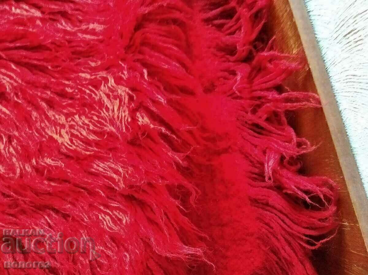 Auction  Long-fringed graov kitenik