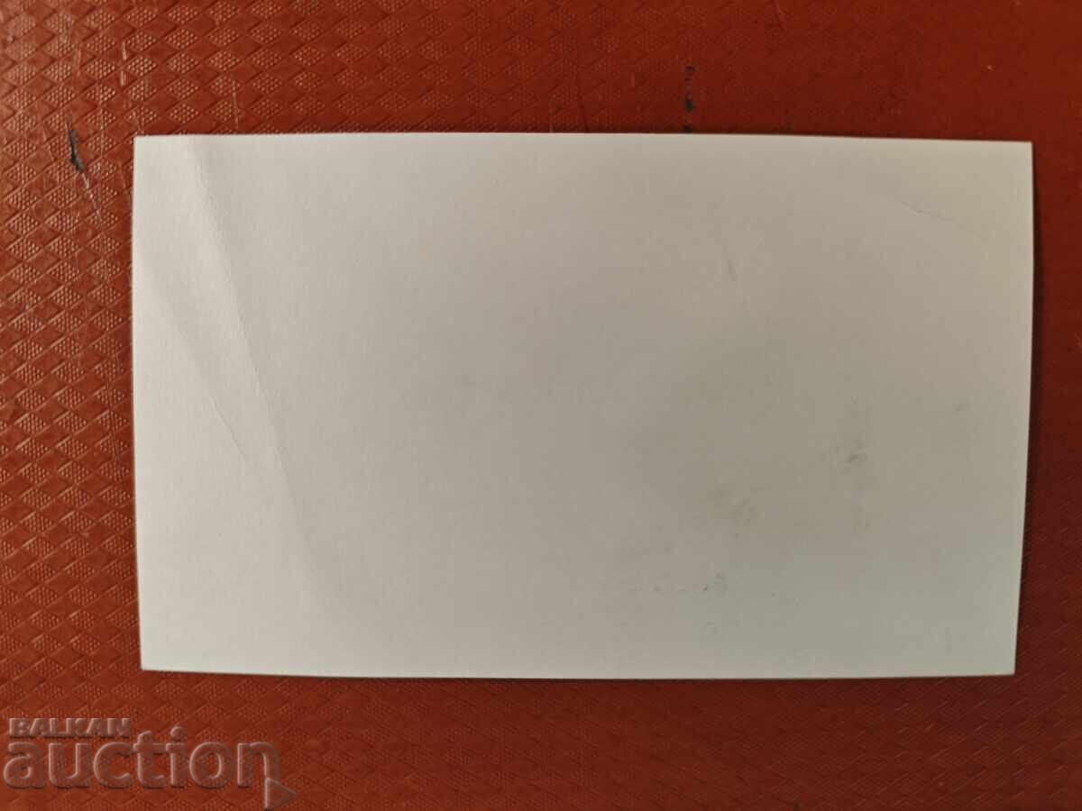 Επαγγελματική Κάρτα Ράικο Αλεξίεφ με τιμή 1000.00 BGN | € 511.29