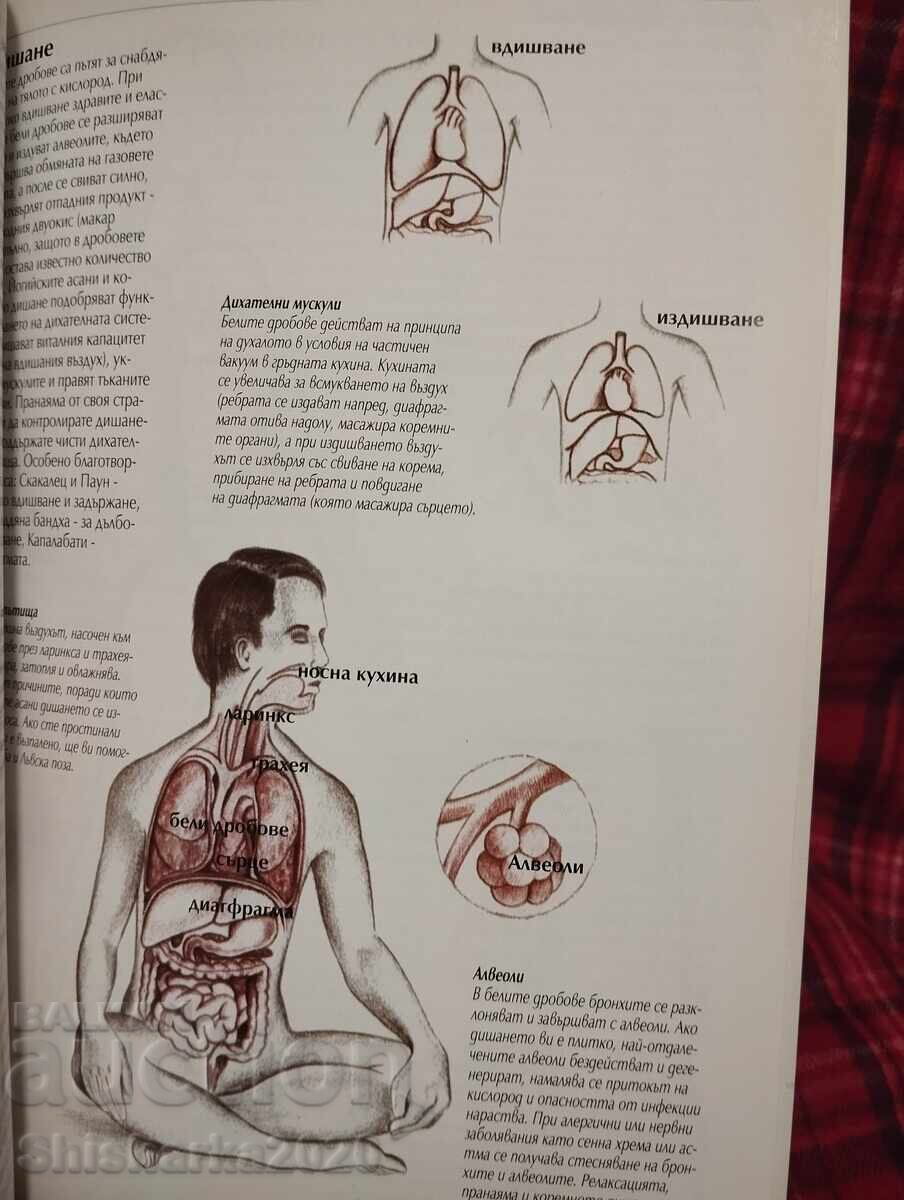 Δημοπρασία Εγχειρίδιο πλήρους γιόγκα