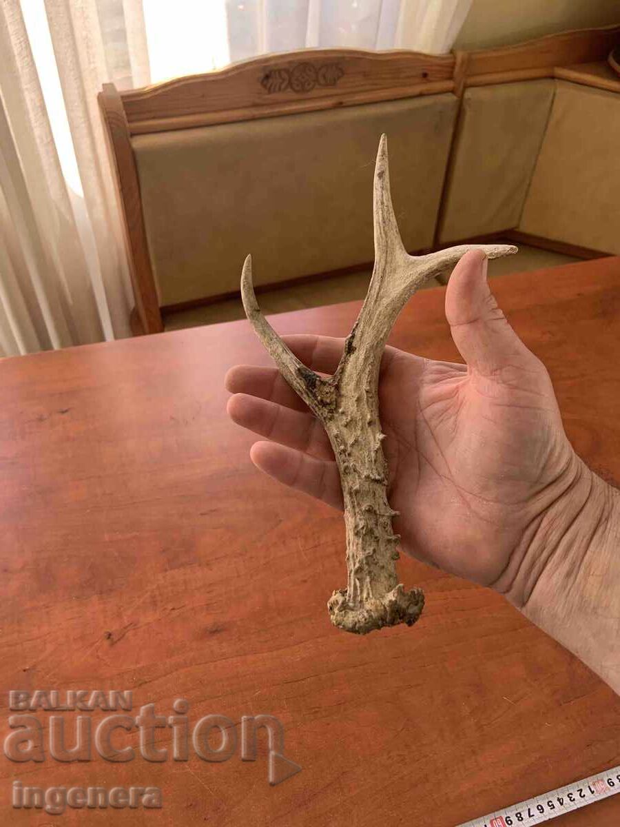 Auction  ROG SARANDAK SARANDAK FOR KNIFE HANDLE OR ORNAMENT