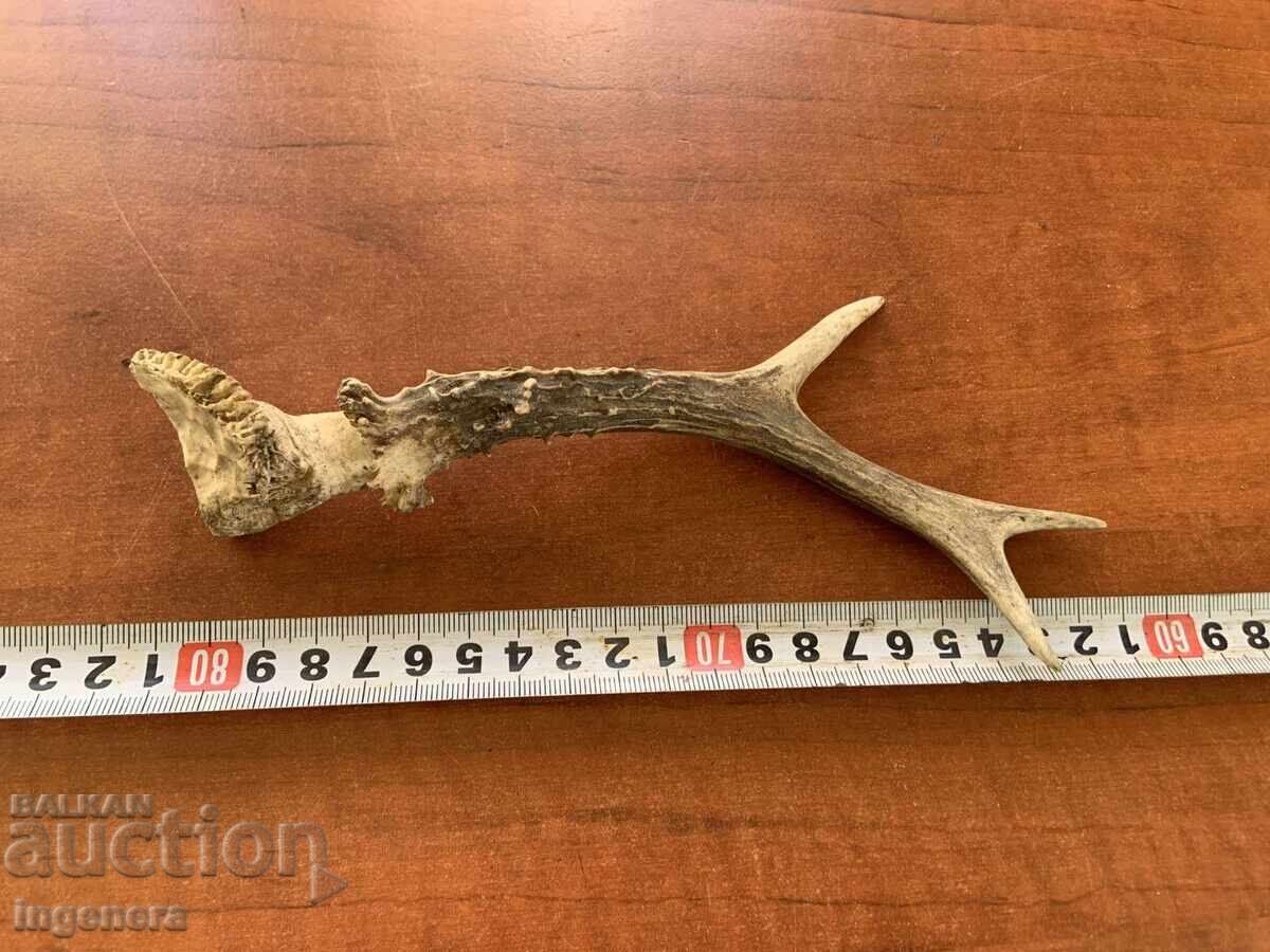 ROG SARANDAK SARANDAK PENTRU MÂNER DE CUȚIT SAU ORNAMENT ROG SARANDAK SARANDAK PENTRU MÂNER DE CUȚIT SAU ORNAMENT