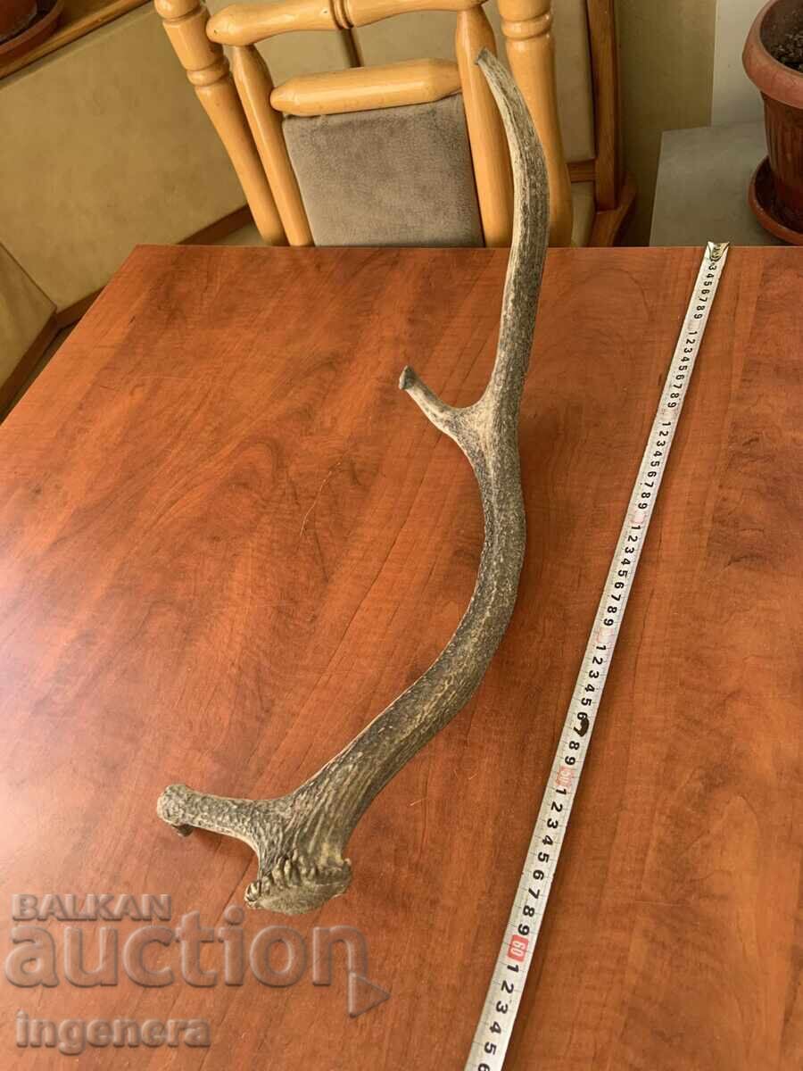 Κέρας ελαφιού για χειροποίητη διακόσμηση ή άλλο - 670 γρ με τιμή 32.00 BGN | € 16.36