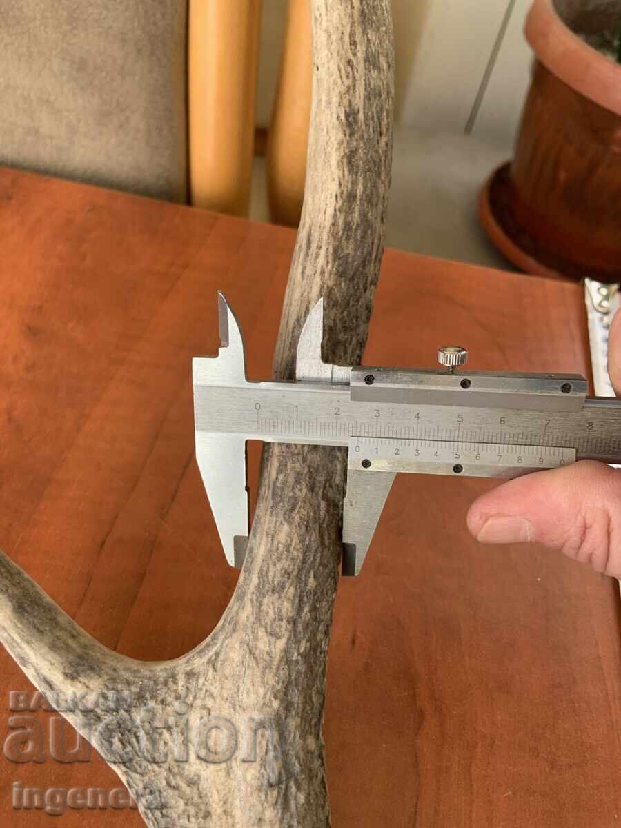 Δημοπρασία Κέρας ελαφιού για χειροποίητη διακόσμηση ή άλλο - 670 γρ