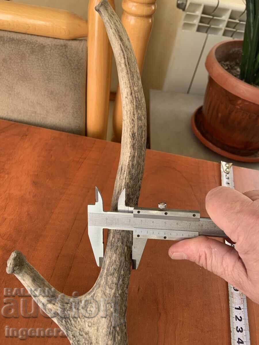 Παράδοση Κέρας ελαφιού για χειροποίητη διακόσμηση ή άλλο - 670 γρ