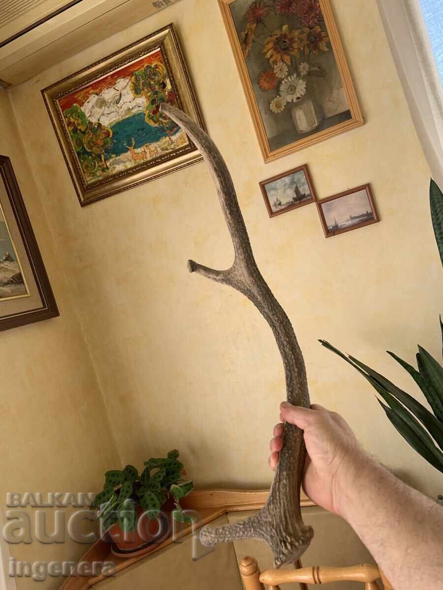 Κέρας ελαφιού για χειροποίητη διακόσμηση ή άλλο - 670 γρ - 5