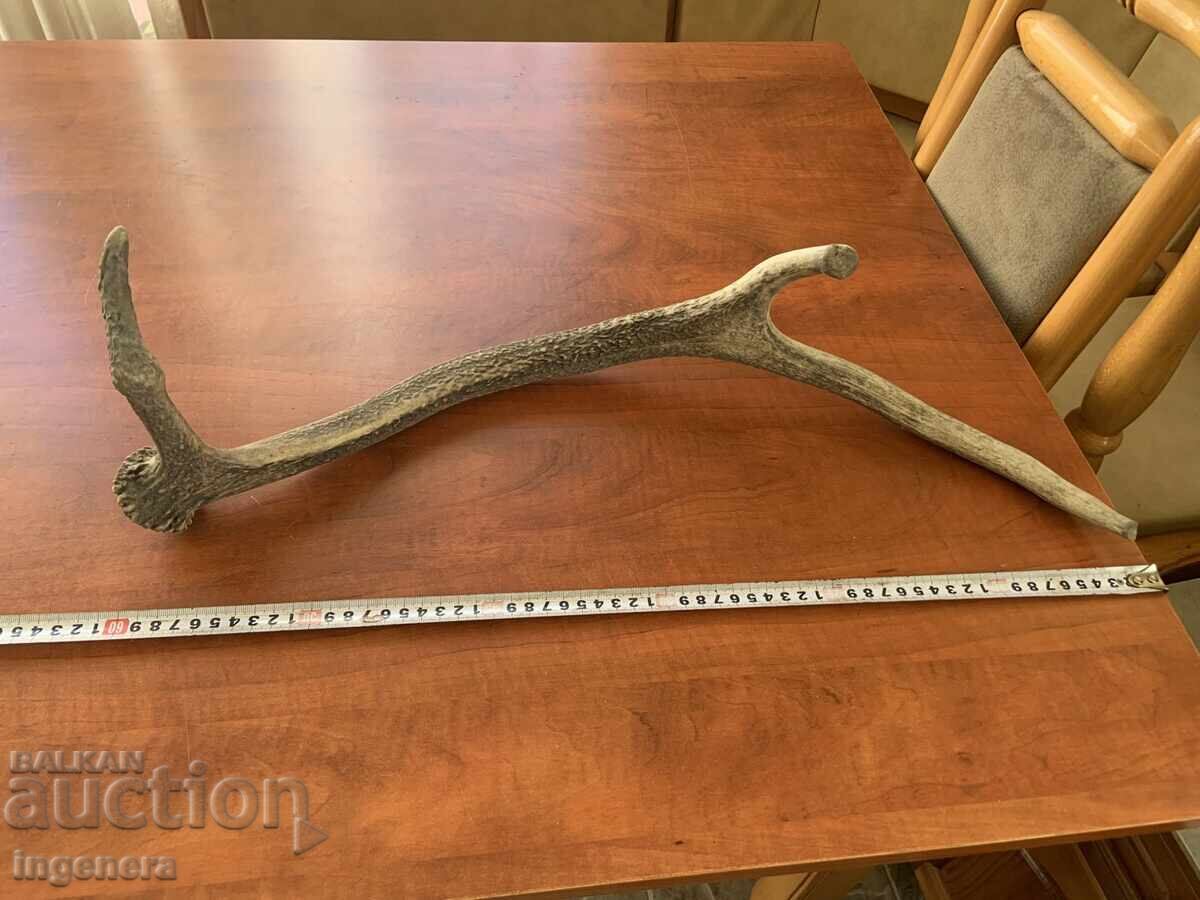 Κέρας ελαφιού για χειροποίητη διακόσμηση ή άλλο - 670 γρ