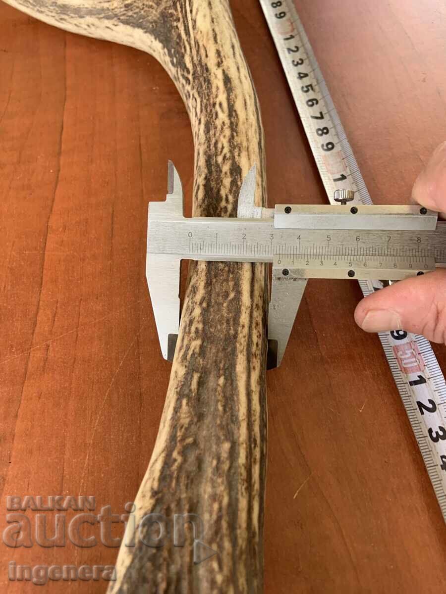 Auction  Deer antler for decorative purposes or other - 1050 g
