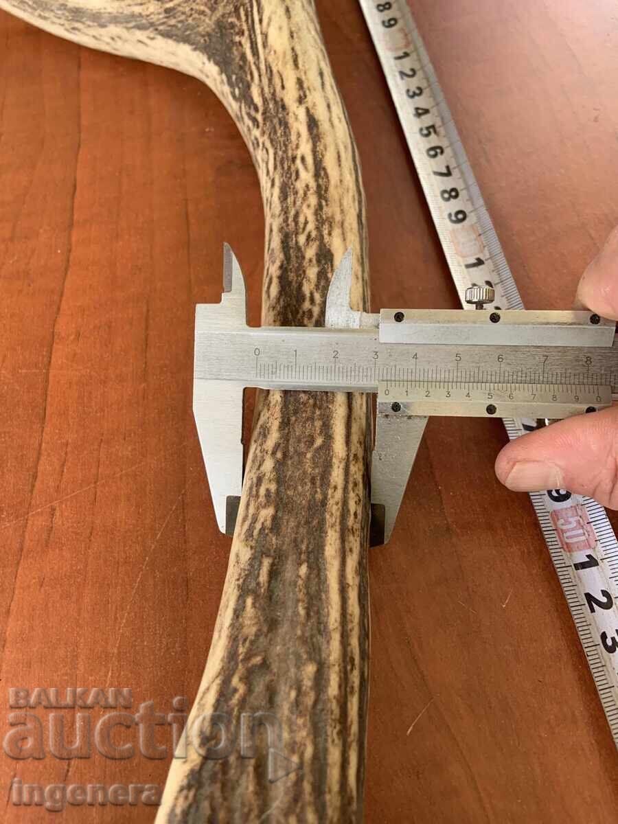 Deer antler for decorative purposes or other - 1050 g - 6