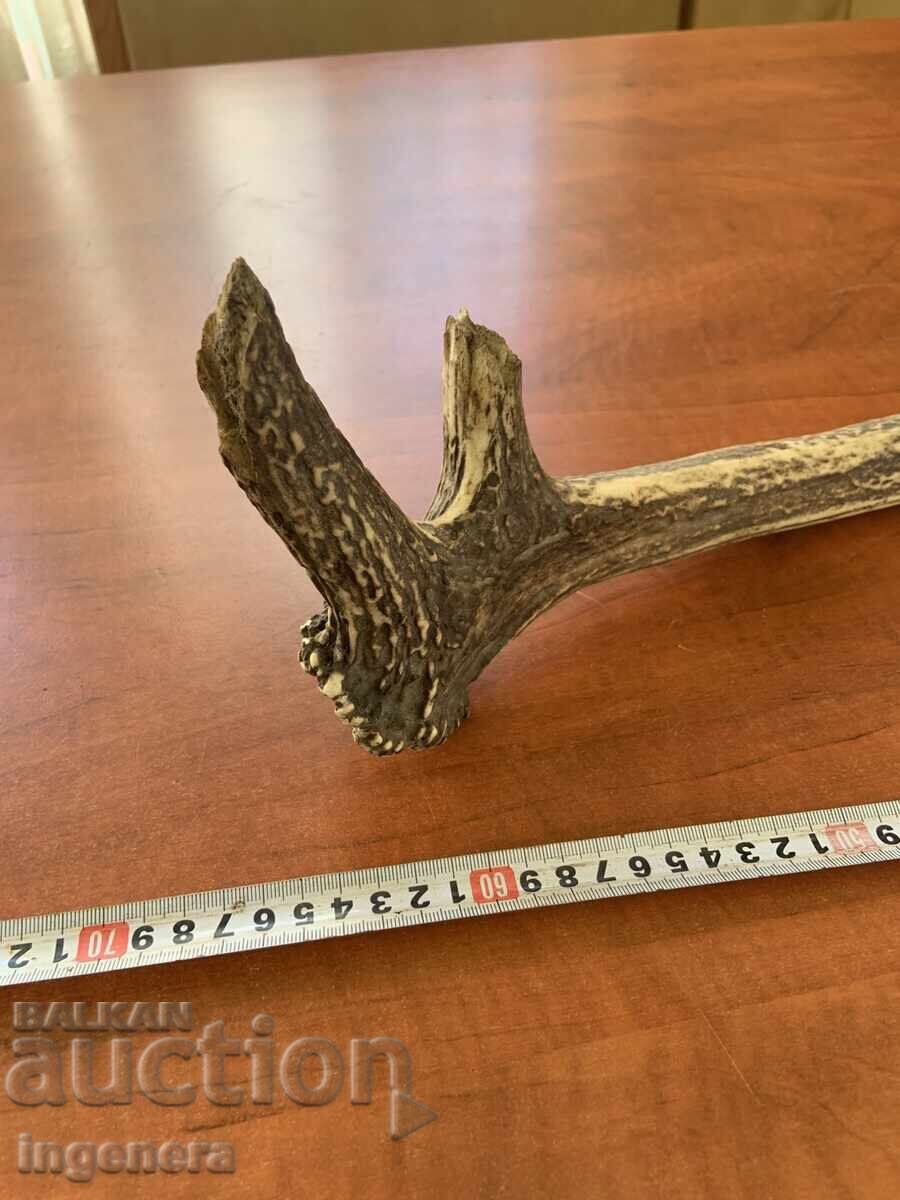Deer antler for decorative purposes or other - 1050 g - 7