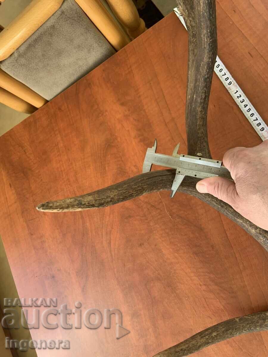 Delivery of Deer antler for decorative use or other - 1850 grams Delivery of Deer antler for decorative use or other - 1850 grams