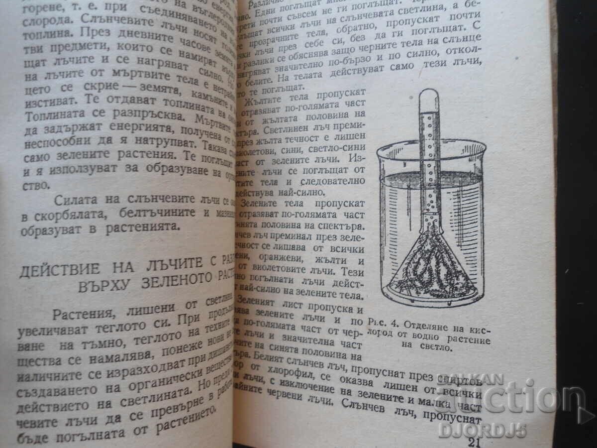 Аукцион Защо растенията имат зелен цвят, В.Н.Столетов Аукцион Защо растенията имат зелен цвят, В.Н.Столетов
