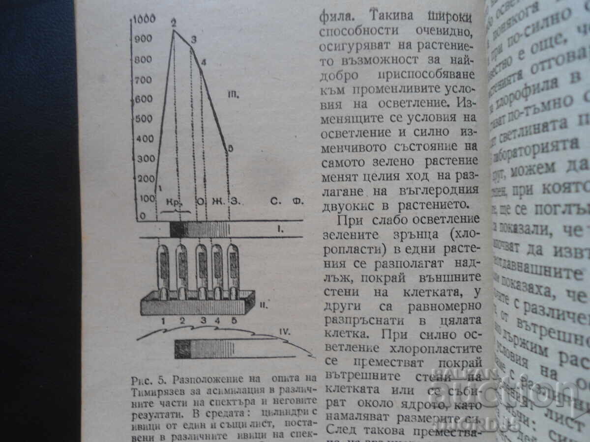 Доставка на Защо растенията имат зелен цвят, В.Н.Столетов Доставка на Защо растенията имат зелен цвят, В.Н.Столетов