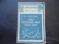 Защо растенията имат зелен цвят, В.Н.Столетов