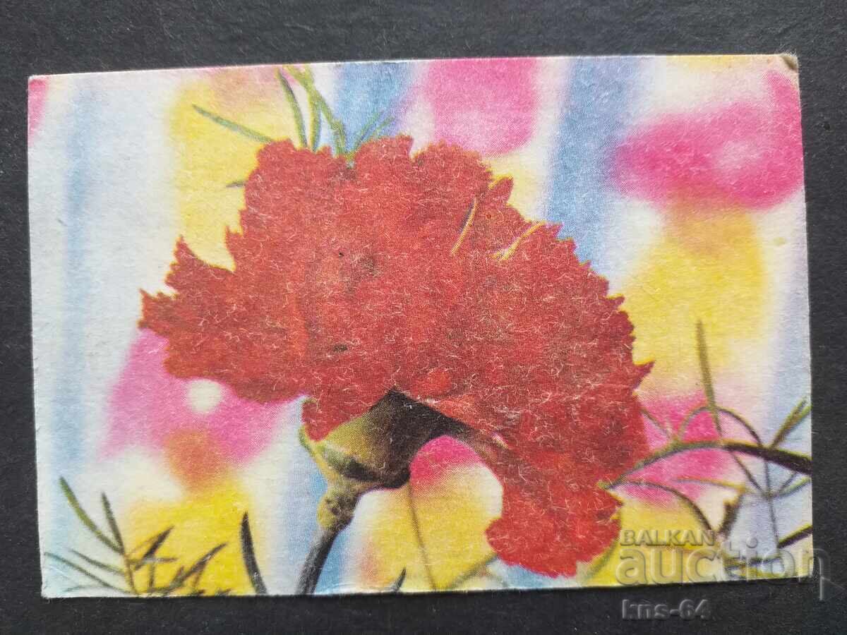 Ημερολόγιο Ημερολόγιο