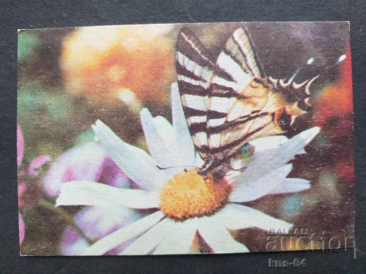 Ημερολόγιο Ημερολόγιο