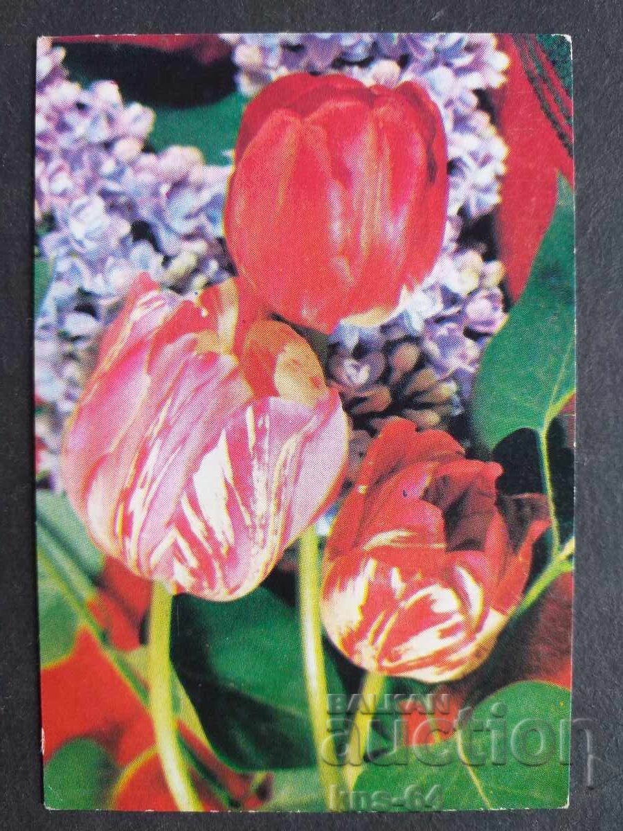 Ημερολόγιο Ημερολόγιο