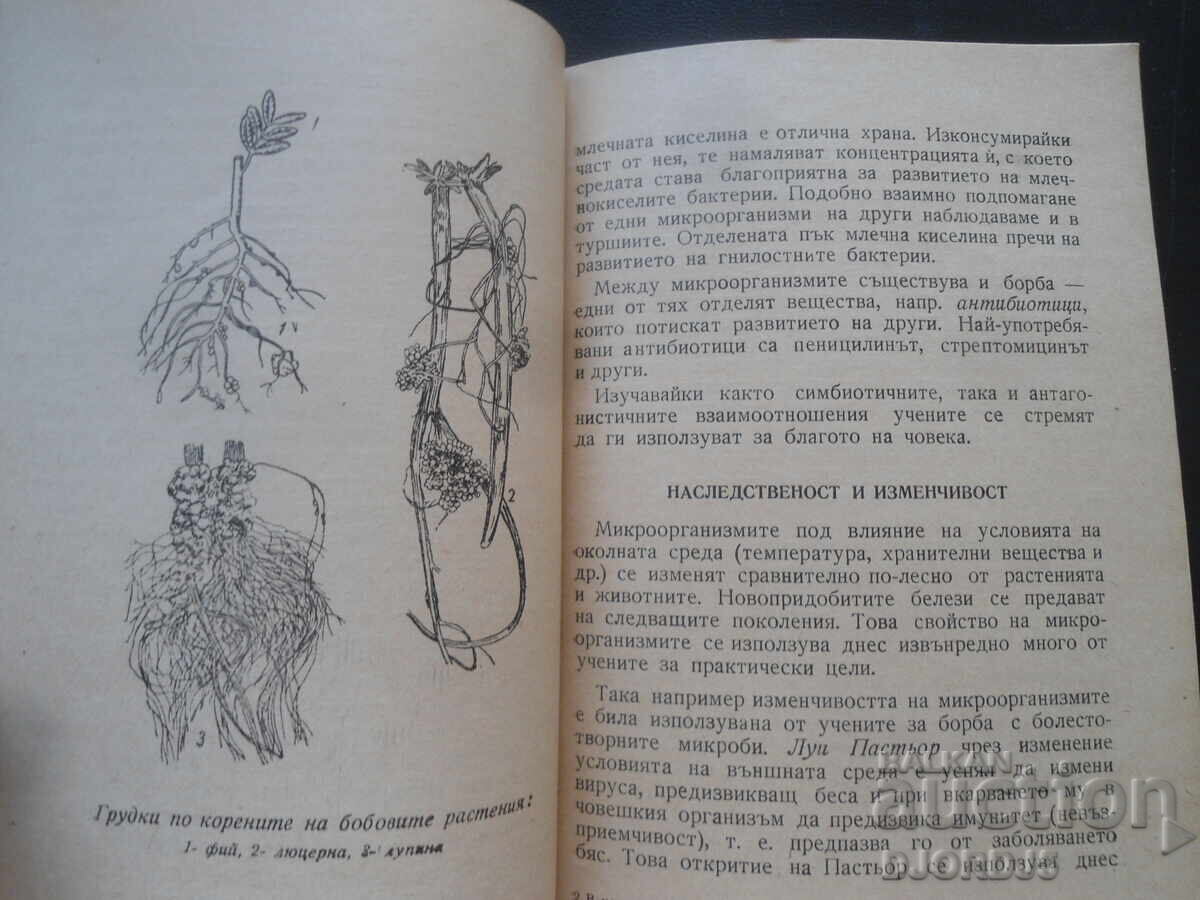 Delivery of In the invisible world of microorganisms