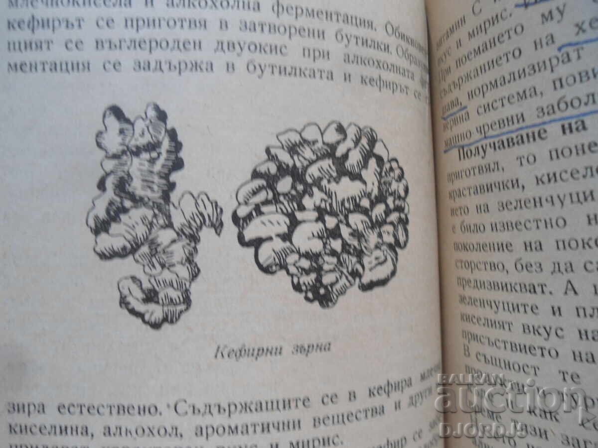 In the invisible world of microorganisms - 5