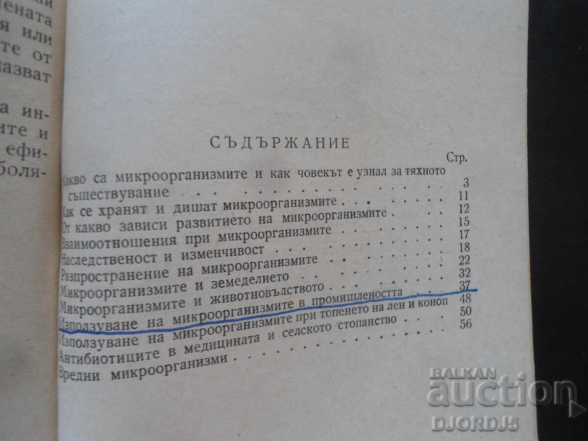 In the invisible world of microorganisms - 6