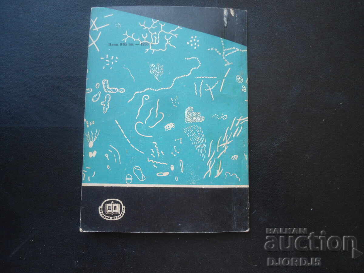 In the invisible world of microorganisms - 7