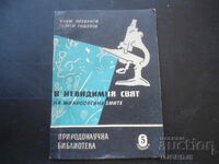 In the invisible world of microorganisms