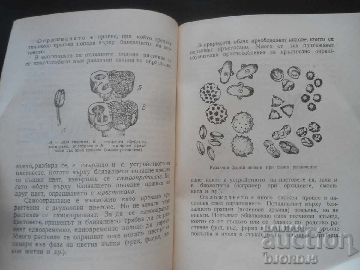 Παράδοση Πώς δημιουργούνται τα πολιτιστικά φυτά Παράδοση Πώς δημιουργούνται τα πολιτιστικά φυτά