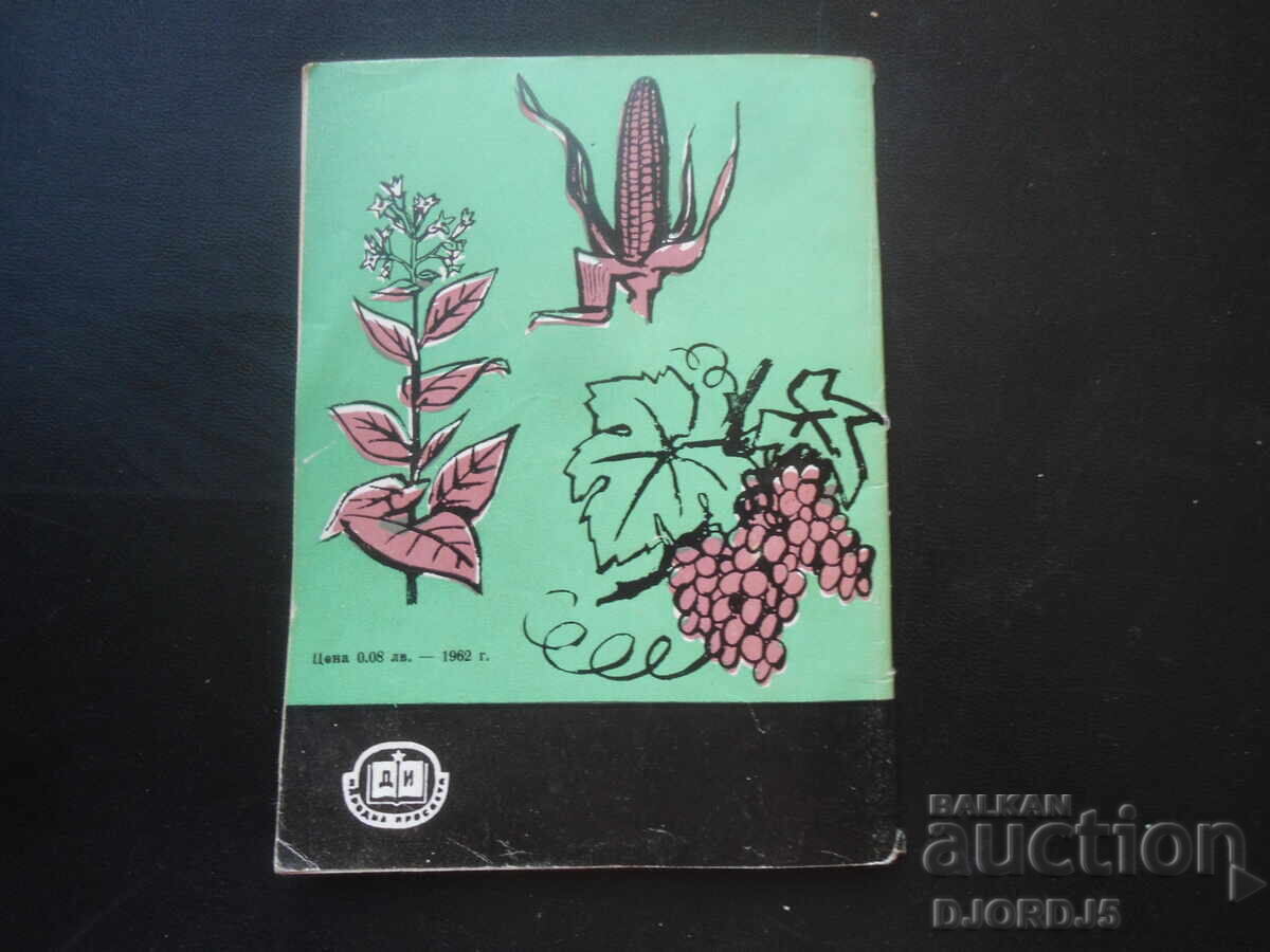 Πώς δημιουργούνται τα πολιτιστικά φυτά - 5 Πώς δημιουργούνται τα πολιτιστικά φυτά - 5