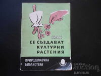 Πώς δημιουργούνται τα πολιτιστικά φυτά