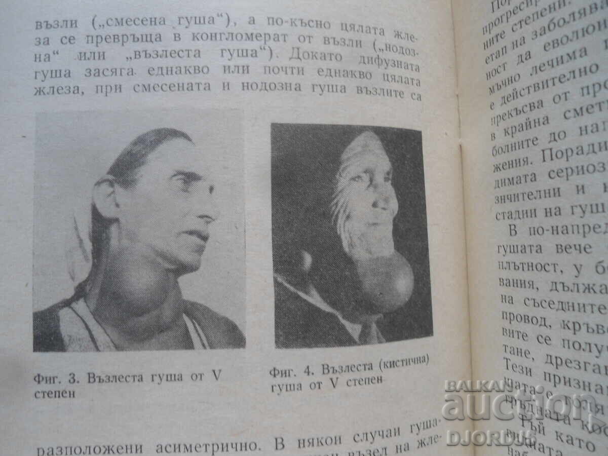 Γκούσια, Βέρμπαν Βέρμπανωφ με τιμή 3.00 BGN | € 1.53 Γκούσια, Βέρμπαν Βέρμπανωφ με τιμή 3.00 BGN | € 1.53