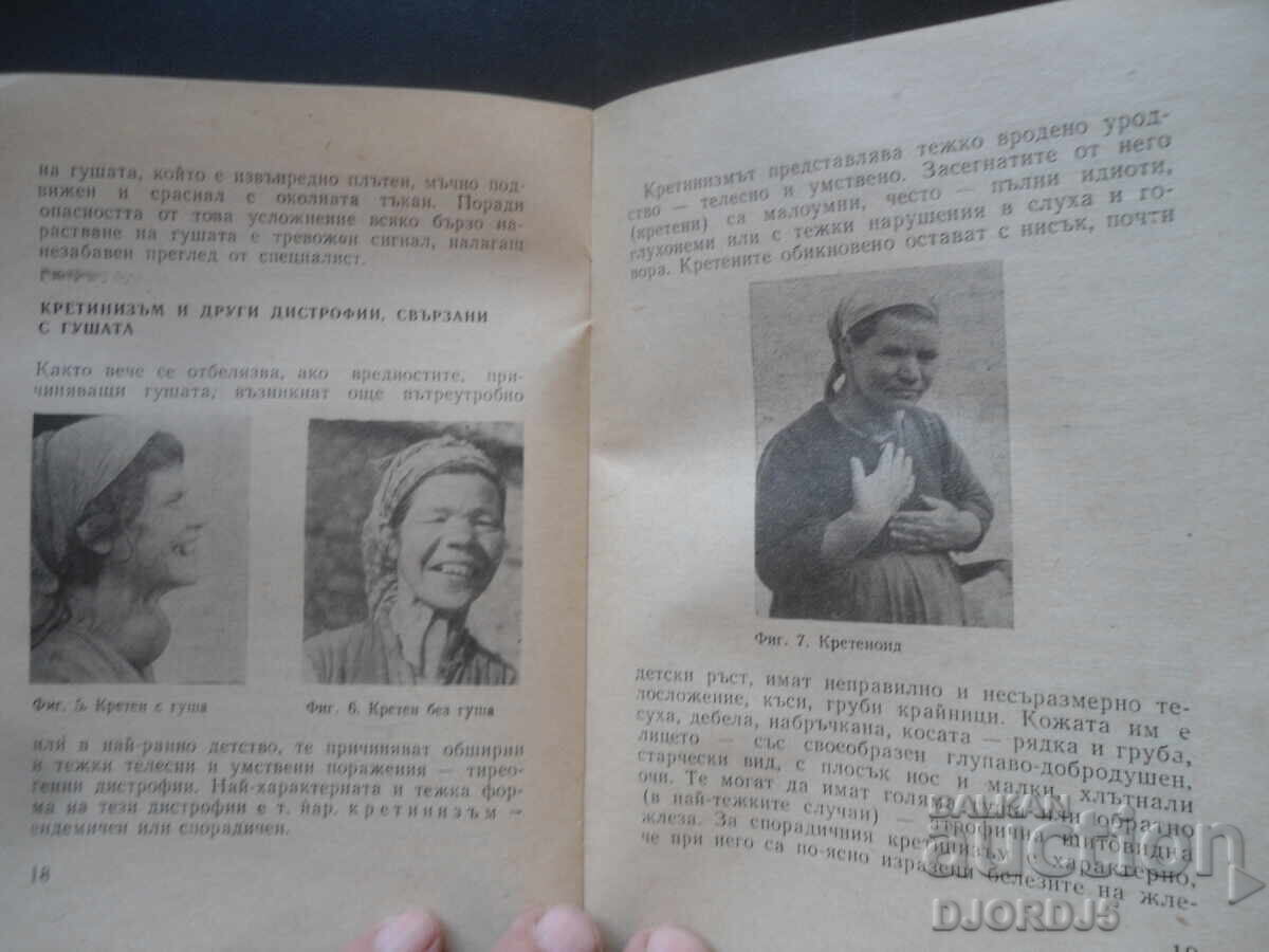 Δημοπρασία Γκούσια, Βέρμπαν Βέρμπανωφ Δημοπρασία Γκούσια, Βέρμπαν Βέρμπανωφ