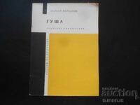 Γκούσια, Βέρμπαν Βέρμπανωφ